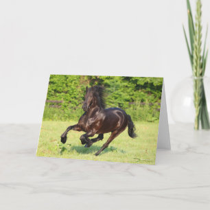 Bob Langrish Black Friesian Running Card