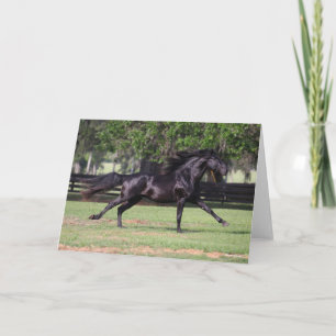 Bob Langrish Black Lusitano Running Mane Flowing Card