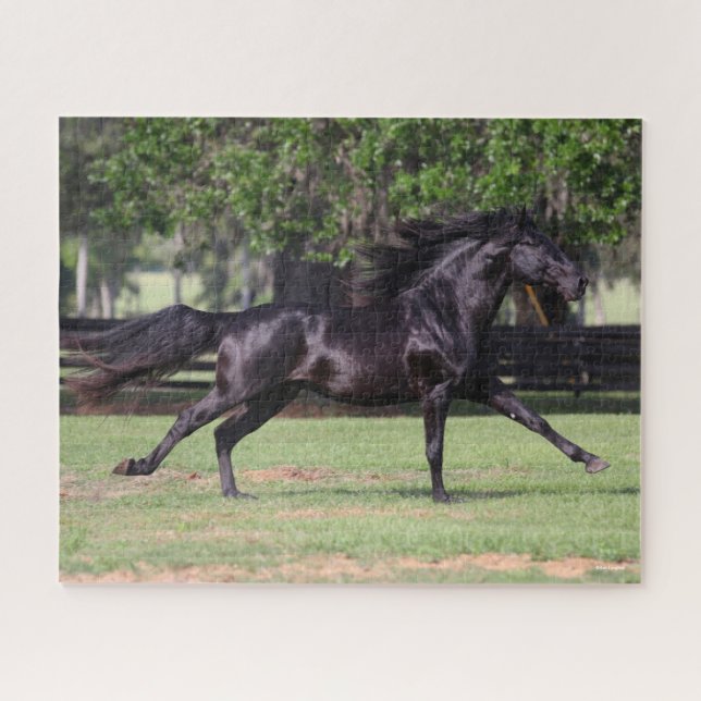 Bob Langrish | Black Lusitano Running Mane Flowing Jigsaw Puzzle (Horizontal)