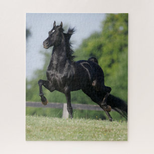 Bob Langrish Black Morgan Horse Trotting Jigsaw Puzzle