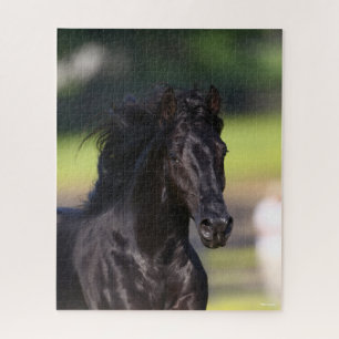 Bob Langrish Black Rocky Mountain Horse headshot Jigsaw Puzzle