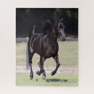 Bob Langrish Black Tennessee Walker Running Jigsaw Puzzle