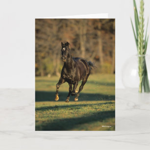 Bob Langrish Black Thoroughbred Running Card
