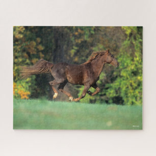 Bob Langrish Brown Rocky Mountain Horse Running Jigsaw Puzzle