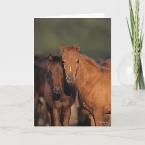 Bob Langrish Caspian Pony Foals Standing Together Card