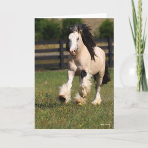 Bob Langrish Champagne Colour Gypsy Vanner Running Card