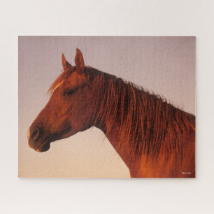 Bob Langrish Chestnut Arab Horse Headshot Sunset Jigsaw Puzzle
