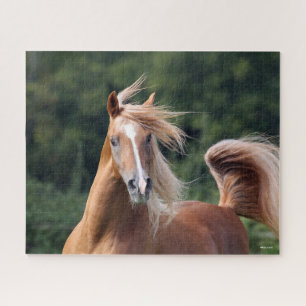 Bob Langrish   Chestnut Arab Stallion Headshot Jigsaw Puzzle
