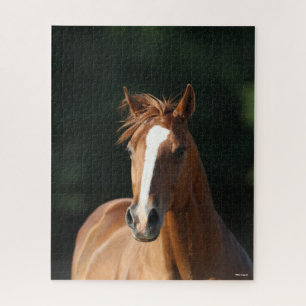 Bob Langrish Chestnut Quarter Horse Headshot Jigsaw Puzzle