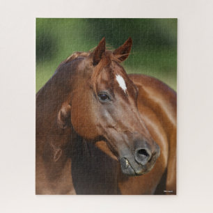 Bob Langrish Chestnut Quarter Horse Mare Headshot Jigsaw Puzzle