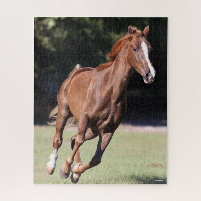 Bob Langrish | Chestnut Tennessee Jigsaw Puzzle (Vertical)