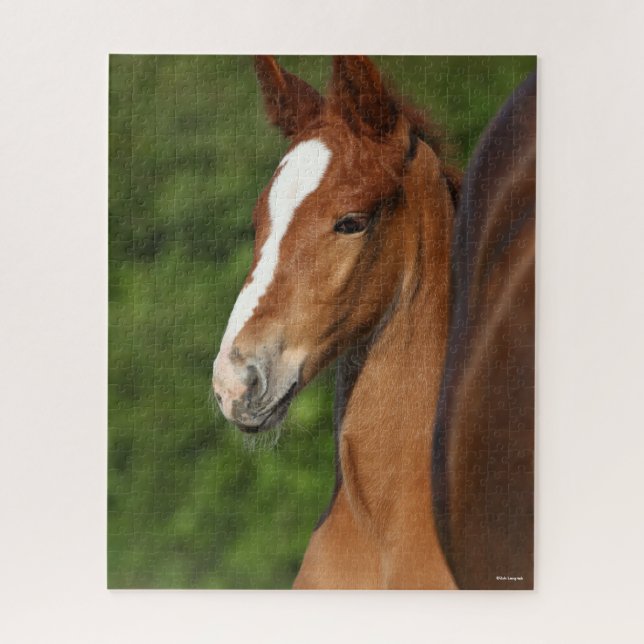 Bob Langrish | Chestnut Warmblood Foal Headshot Jigsaw Puzzle (Vertical)