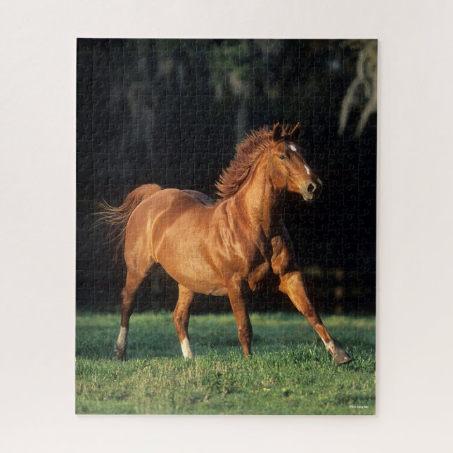 Bob Langrish | Chestnut Warmblood Mare Running Jigsaw Puzzle (Vertical)