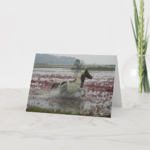 Bob Langrish Chincoteague Horse Running In Water Card