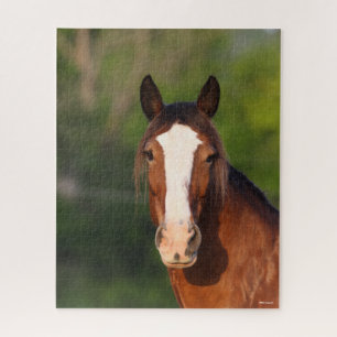 Bob Langrish Clydesdale headshot Jigsaw Puzzle