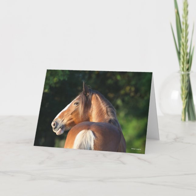 Bob Langrish | Clydesdale Horse headshot Card (Front)