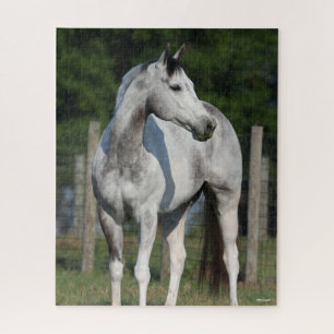 Bob Langrish Dapple Grey Quarter Horse Standing Jigsaw Puzzle