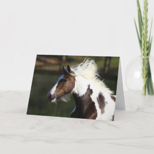 Bob Langrish   Drum Horse Headshot Card