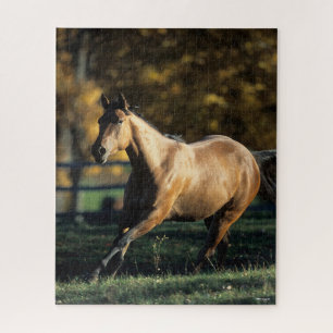Bob Langrish Dun Quarter Horse Running Jigsaw Puzzle