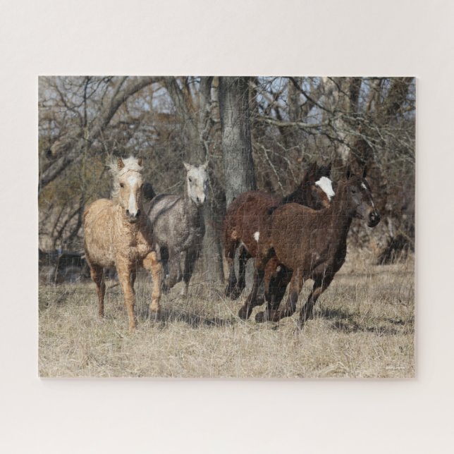 Bob Langrish | Four Bashkir Curly Horses Running Jigsaw Puzzle (Horizontal)