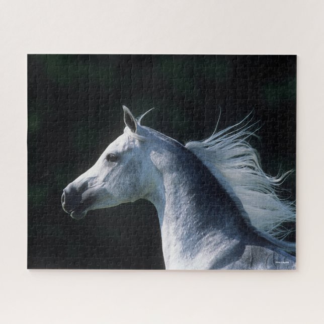 Bob Langrish | Gray Arab Headshot 3 Jigsaw Puzzle (Horizontal)
