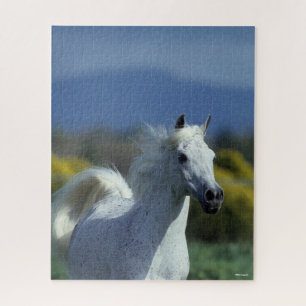 Bob Langrish   Gray Arab Headshot Jigsaw Puzzle