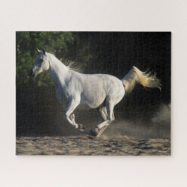 Bob Langrish | Gray Arab Mare Running Jigsaw Puzzle (Horizontal)