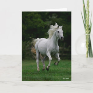 Bob Langrish   Gray Arab Running Mane Flowing Card