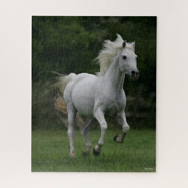 Bob Langrish | Gray Arab Running Mane Flowing Jigsaw Puzzle (Vertical)