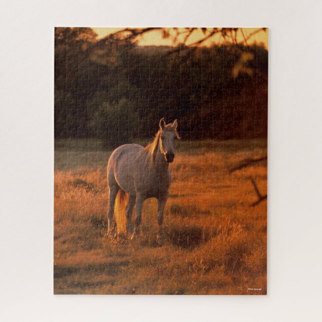 Bob Langrish | Gray Arab Standing at Sunset Jigsaw Puzzle (Vertical)