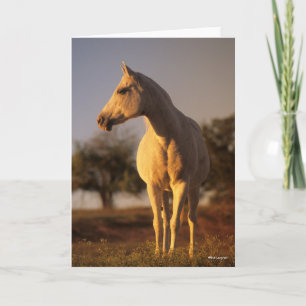 Bob Langrish   Gray Arab Standing Card