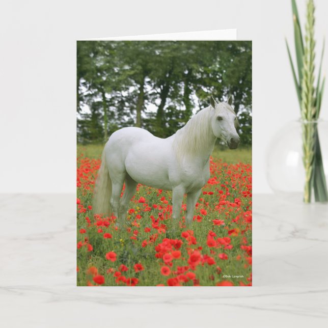 Bob Langrish | Gray Arab standing In Red Flowers Card (Front)