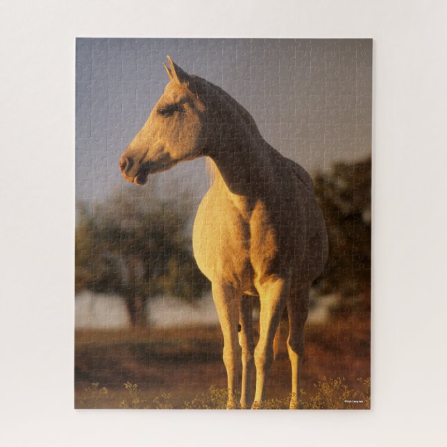 Bob Langrish | Gray Arab Standing Jigsaw Puzzle (Vertical)