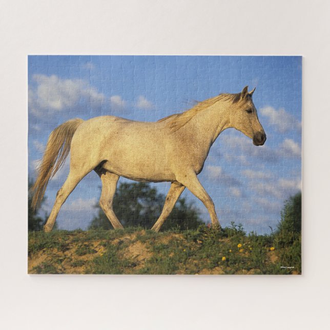 Bob Langrish | Gray Arab Walking Jigsaw Puzzle (Horizontal)