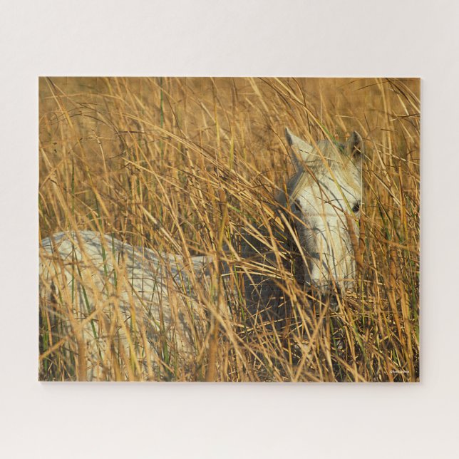 Bob Langrish | Gray Camargue Pony Lying In Reeds Jigsaw Puzzle (Horizontal)