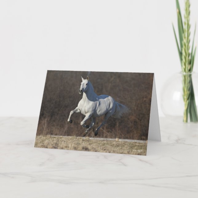 Bob Langrish | Grey Andalucian Running Card (Front)