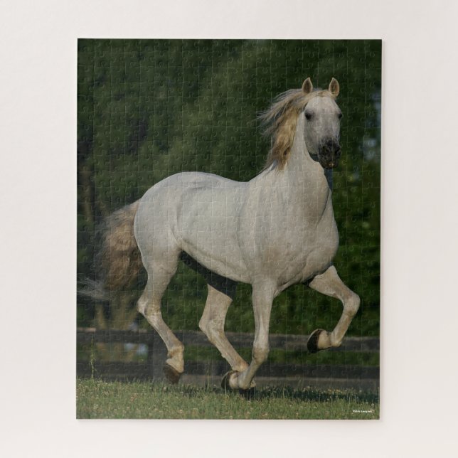 Bob Langrish | Grey Andalucian Running Jigsaw Puzzle (Vertical)