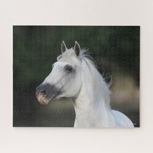 Bob Langrish  Grey Andalucian Stallion Headshot 6 Jigsaw Puzzle