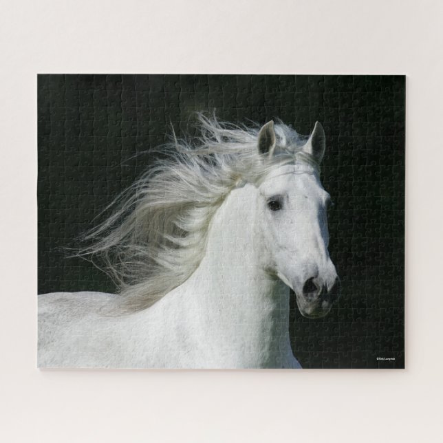 Bob Langrish | Grey Andalucian Stallion Headshot Jigsaw Puzzle (Horizontal)