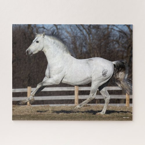 Bob Langrish  Grey Andalucian Stallion Running Jigsaw Puzzle