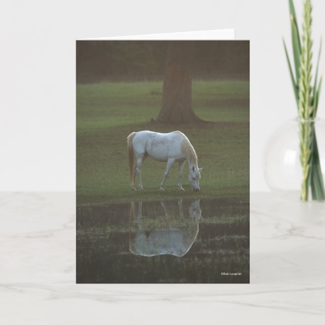 Bob Langrish | Grey Arab Grazing Water Reflection Card (Front)
