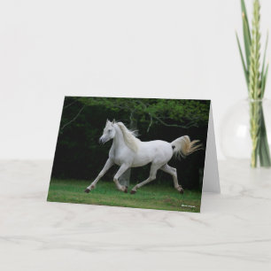 Bob Langrish   Grey Arab Running Card