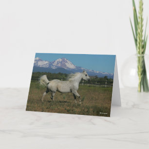 Bob Langrish Grey Arab Running Mountain Background Card