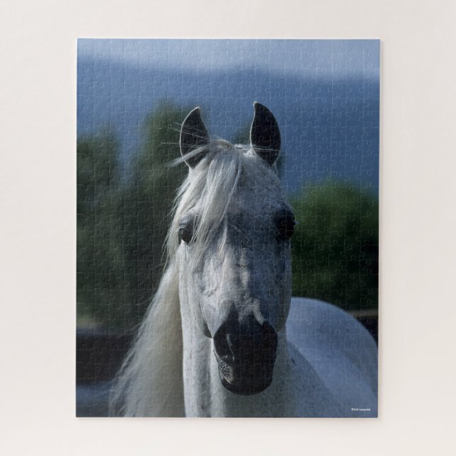 Bob Langrish Grey Arab Stallion Standing Headshot Jigsaw Puzzle (Vertical)