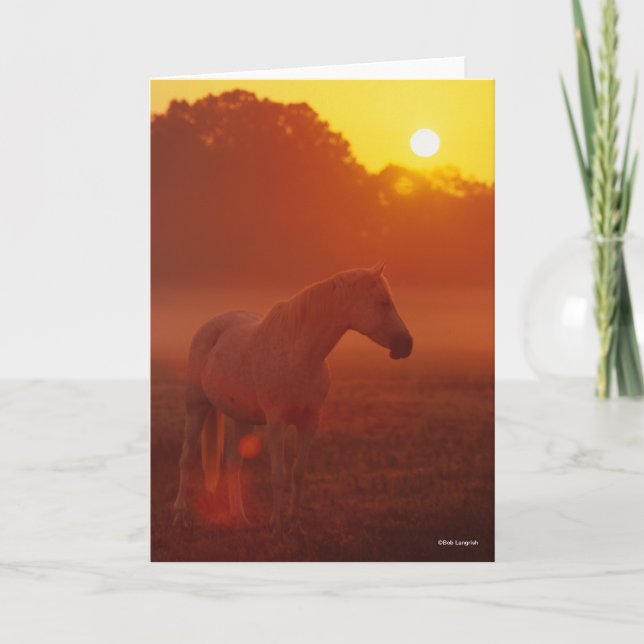 Bob Langrish | Grey Arab Standing at Sunset Card (Front)