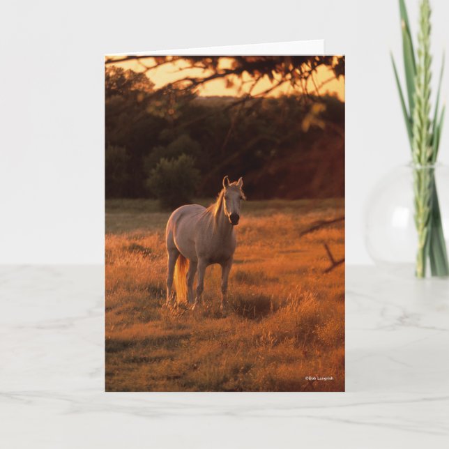 Bob Langrish | Grey Arab Standing at Sunset Card (Front)