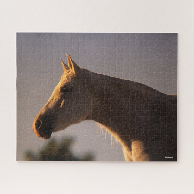 Bob Langrish | Grey Arab Standing Backlit Headshot Jigsaw Puzzle (Horizontal)