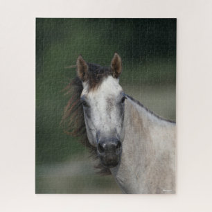 Bob Langrish Grey Quarter Horse headshot Jigsaw Puzzle