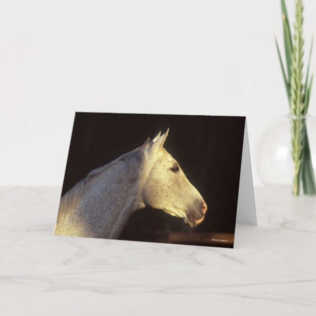 Bob Langrish | Grey Thoroughbred Stallion Headshot Card (Front)