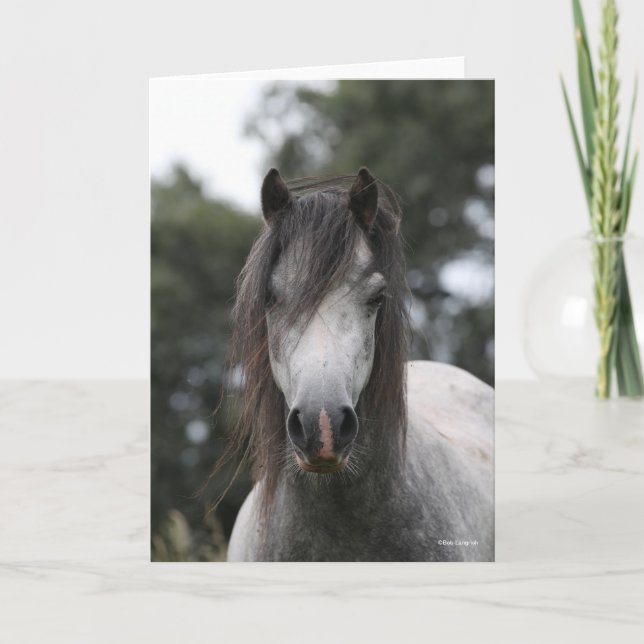 Bob Langrish | Grey Welsh Pony Headshot Card (Front)